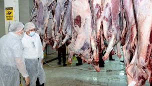 Başkan Eriş'ten Ödemiş Mezbahası'nda inceleme