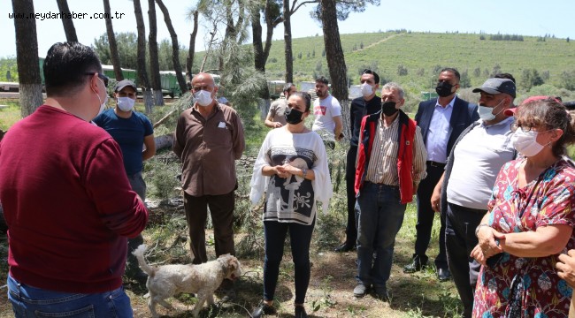 BAŞKAN SENGEL DOĞA KATLİAMINI DURDURDU