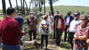 BAŞKAN SENGEL DOĞA KATLİAMINI DURDURDU