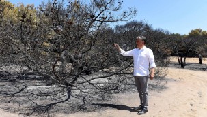 Başkan Uysal, yangın bölgesinde