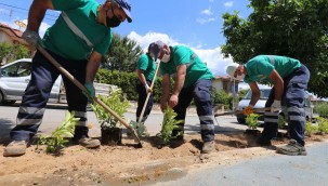 BİSİKLET YOLU GÜZELLEŞTİ
