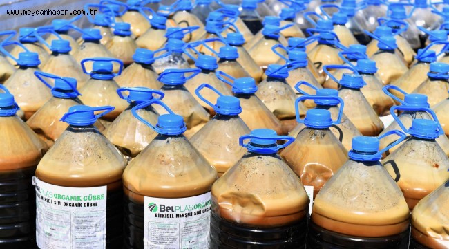 BÜYÜKŞEHİR'İN KIRSAL KALKINMA HAMLESİ SÜRÜYOR: 8 MİLYON SEBZE FİDESİ DAĞITIMI BAŞLADI