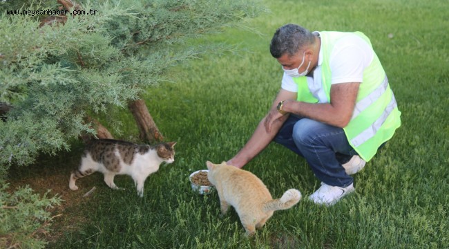 ÇAMELİ'DE BU BAYRAM GÖNÜLLERE DOKUNULDU