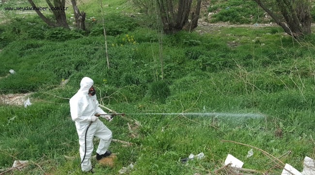 ÇANKAYA'DAN BAHAR İLAÇLAMASI