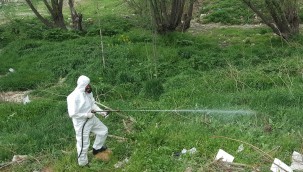 ÇANKAYA'DAN BAHAR İLAÇLAMASI