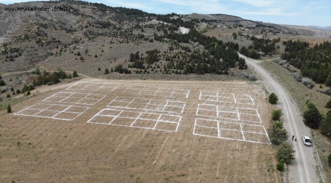 Çankırı'da Yeni Mezarlık Alanı Çalışmaları Başladı