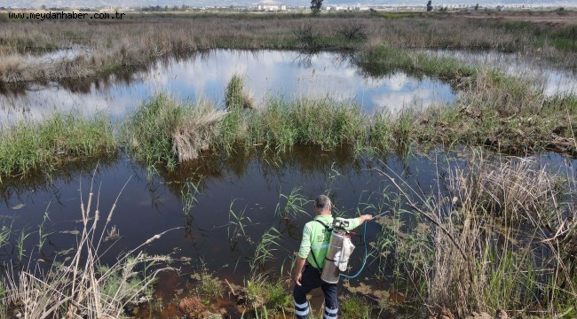 EFELER SAĞLIKLI BİR YAZA HAZIRLANIYOR