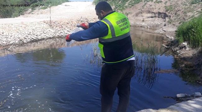 Ergene Belediyesi Larva Üreme Noktalarındaki Çalışmalarını Arttırdı