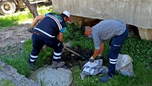 HATSU EKİPLERİ TAM KAPANMADA TAM KADRO SAHADA