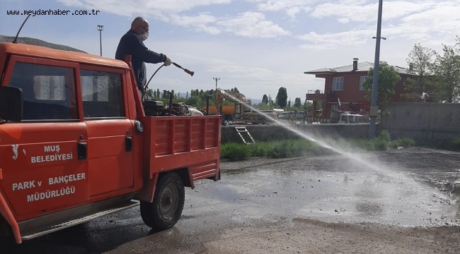 HAVALAR ISINDI, İLAÇLAMA ÇALIŞMALARI BAŞLADI