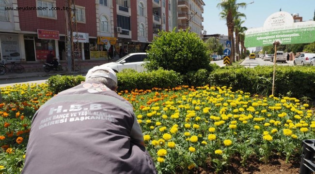 HBB'DEN REYHANLI'NIN CADDELERİNE ESTETİK DOKUNUŞ