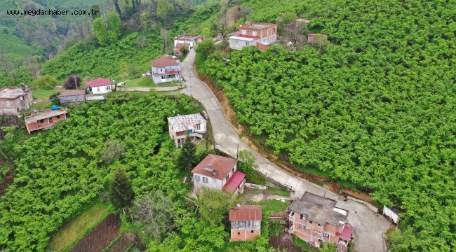 HİZMET'İN ADRESİ ALTINORDU BELEDİYESİ