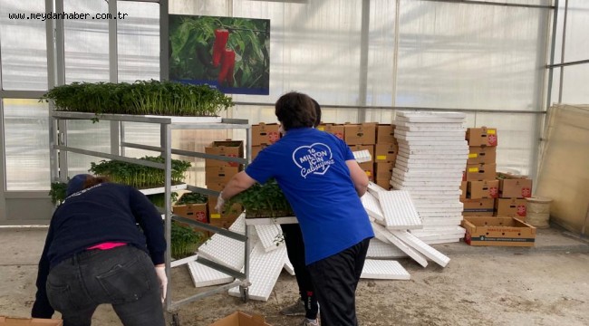 İBB'nin hibe fide desteği İzmitliler için yola çıktı