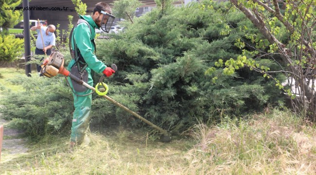 İzmit Belediyesi, Yenişehir'de parkları pırıl pırıl yaptı