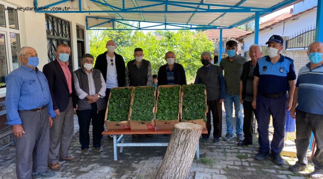 İzmit'in köylerinde fide dağıtım şenliği sürüyor