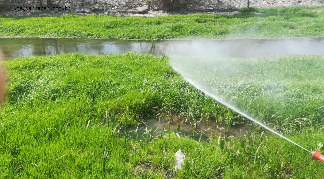 Kızılcahamam Belediyesi'nden haşere ile mücadele