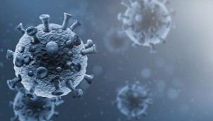 Malezya'da köpekten insana geçebilen koronavirüs türü tespit edildi