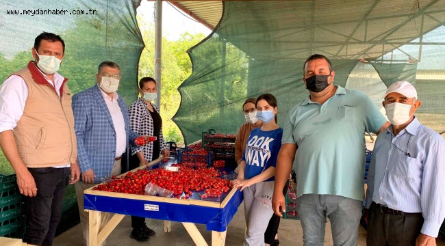 Milletvekili Sındır, "kiraz üreticisini pandemi değil pazara müdahaleler bitiriyor"