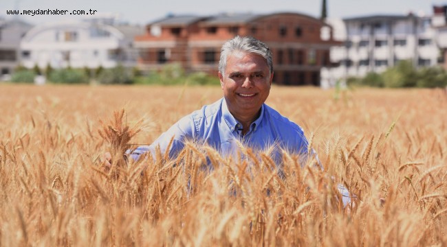 Muratpaşa tarlasından sofraya
