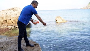 Muratpaşalıların dileklerini Akdeniz'le buluşturdu