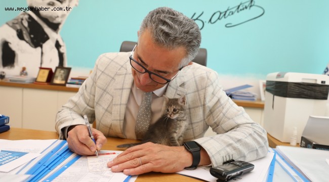 Nazo ile Gazo Gaziemir'de görev başında