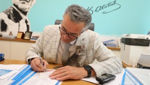 Nazo ile Gazo Gaziemir'de görev başında