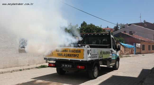 Odunpazarı Belediyesi Haber: Odunpazarı'nda ilaçlama çalışmaları devam ediyor