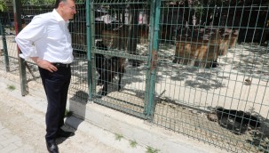 SAVAŞ: SATIN ALMA, SAHİPLEN