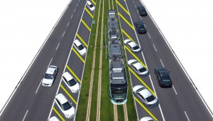 Sökülecek, bakımları yapılacak ve yeniden dikilecekler