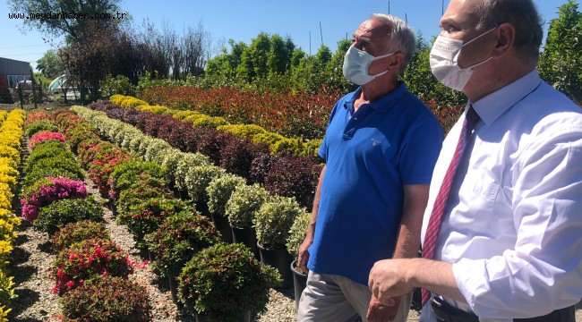 SÜS BİTKİLERİNİ İNCELEDİ