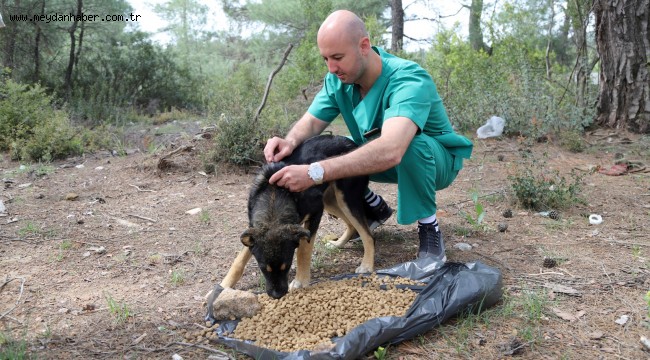Tam Kapanmada Can Dostlar Unutulmadı
