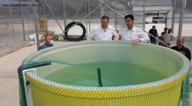 TOPRAKSIZ TARIM İÇİN HATAY'DA İLK SERA KURULDU