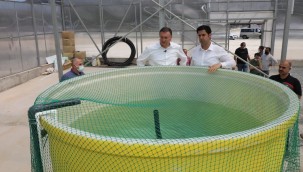 TOPRAKSIZ TARIM İÇİN HATAY'DA İLK SERA KURULDU