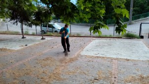Vatandaş istedi, İzmit Belediyesi 1 saatte pırıl pırıl yaptı