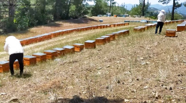 Yangın felaketi yaşayan bal üreticisine kovan desteği