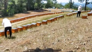 Yangın felaketi yaşayan bal üreticisine kovan desteği