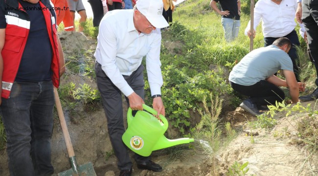 YANGIN SONRASI TAHRİP OLAN BÖLGEDE FİDANLAR TOPRAKLA BULUŞTURULDU