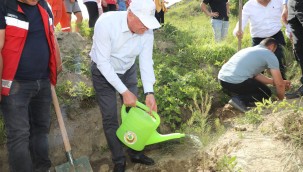YANGIN SONRASI TAHRİP OLAN BÖLGEDE FİDANLAR TOPRAKLA BULUŞTURULDU