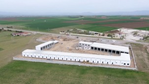 YENİ HAL KOMPLEKSİMİZ SONA YAKLAŞTI