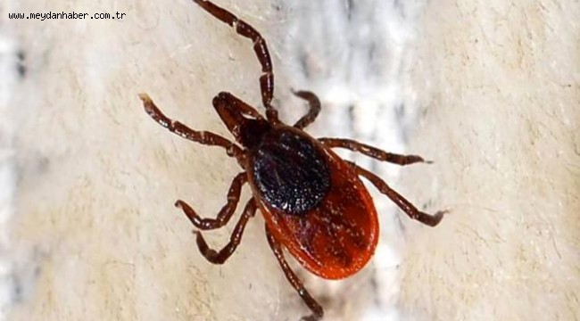 Yozgat'ta KKKA şüphesiyle ölüm