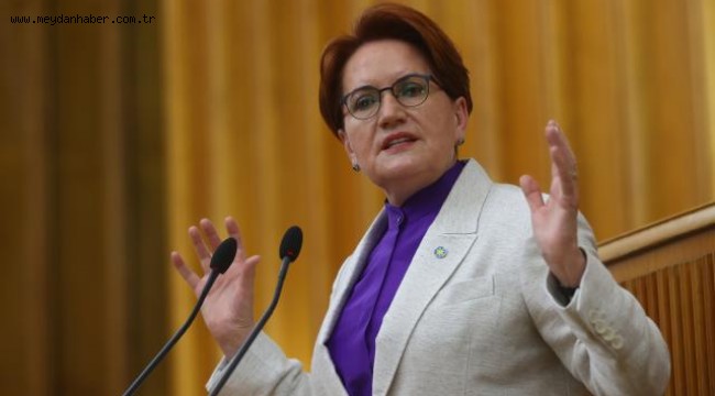 Akşener: Doğa için tavizimiz yok