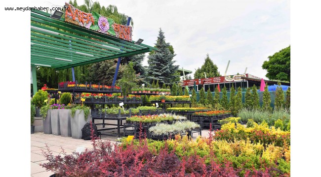 ANFA BİTKİ EVİ İKİNCİ ŞUBESİNİ GÖLBAŞI MOGAN'DA AÇTI