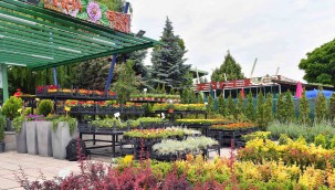 ANFA BİTKİ EVİ İKİNCİ ŞUBESİNİ GÖLBAŞI MOGAN'DA AÇTI