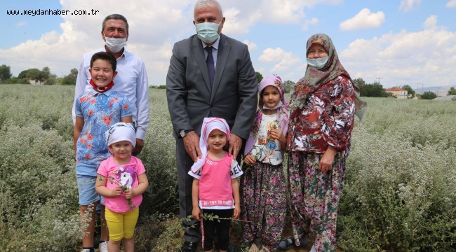 BAŞKAN ATAY'DAN KEKİK HASADI
