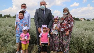 BAŞKAN ATAY'DAN KEKİK HASADI