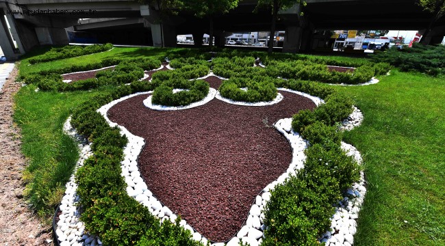 BAŞKENT'E YAKIŞAN ÇEVRE DÜZENLEMELERİ: BÜYÜKŞEHİR KURU PEYZAJ ÇALIŞMASI İLE SU İSRAFININ ÖNÜNE GEÇİYOR