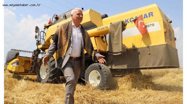 Belediye Arazisine Ekilen Buğday Hasat Edildi