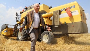 Belediye Arazisine Ekilen Buğday Hasat Edildi