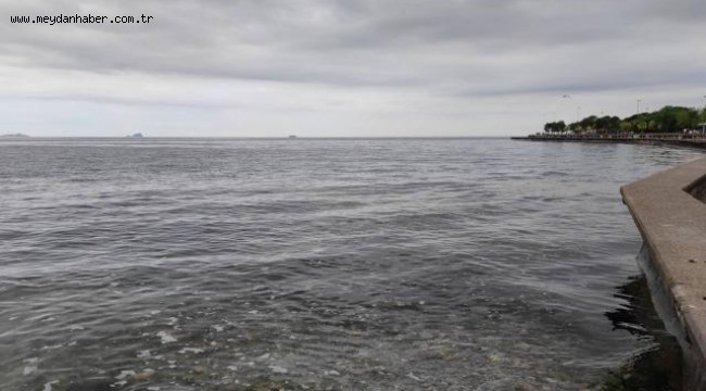 Caddebostan sahilinde müsilaj azaldı