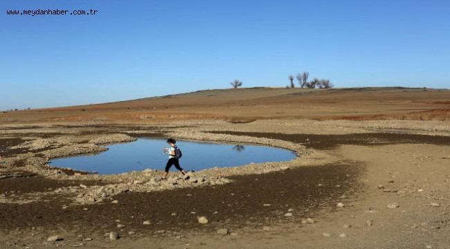 California'da şiddetli kuraklık nedeniyle Folsom Gölü'nün suları çekilince, 1960'larda kaybolan bir uçağın kalıntıları bulundu.